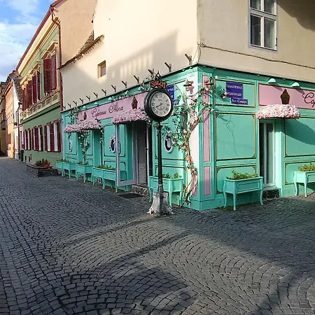Old Town Cozy Nest *