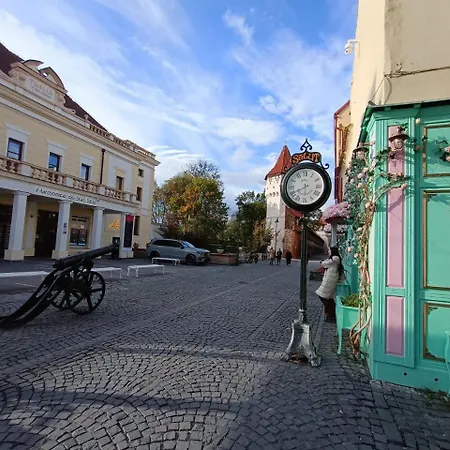 Old Town Cozy Nest
